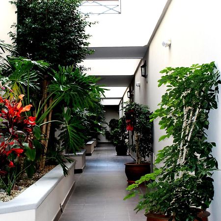 Apartamentos Las Mozas Valle Gran Rey Eksteriør billede